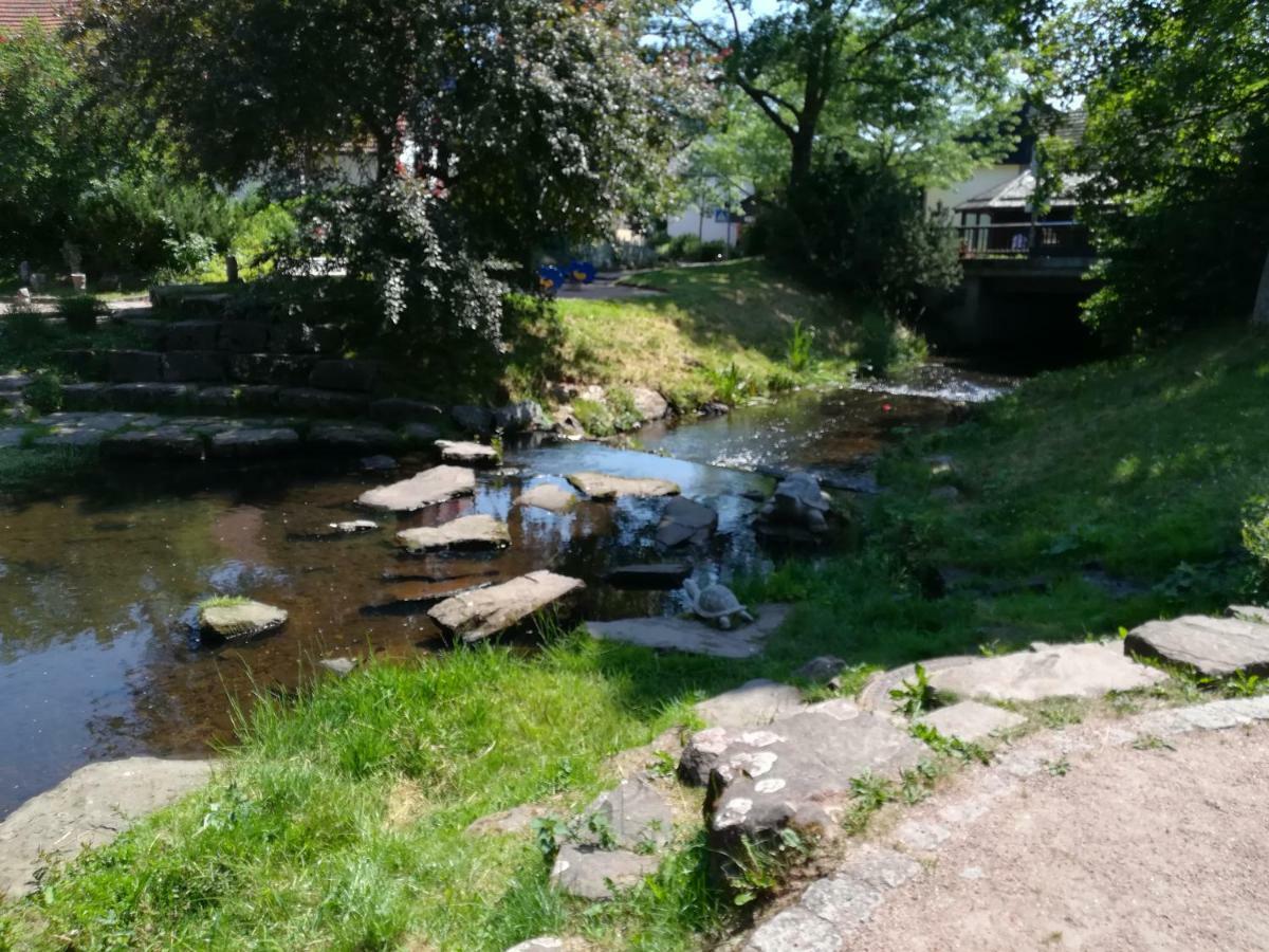 Am Sommerberg Unterkirnach Exterior foto